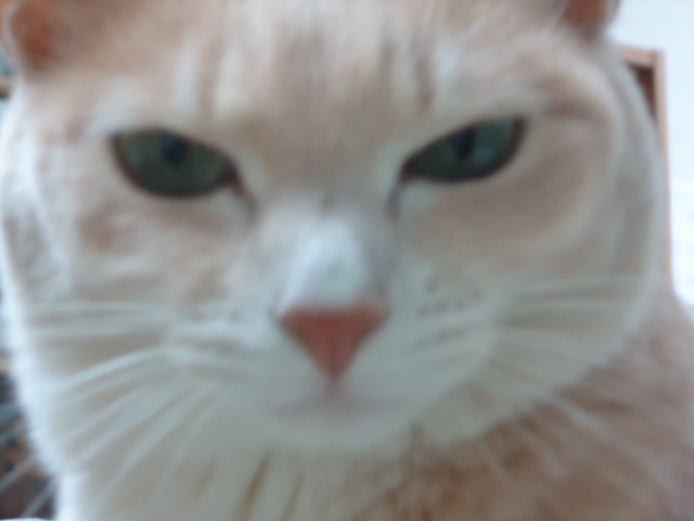 忘れ5