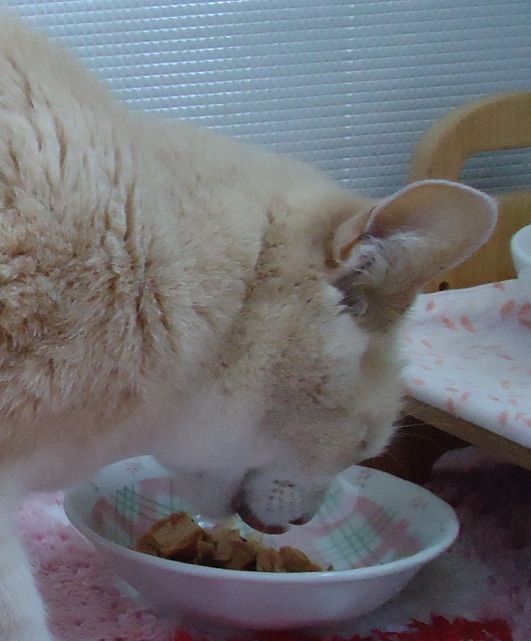 きんき11