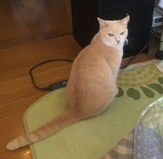 そとこ09