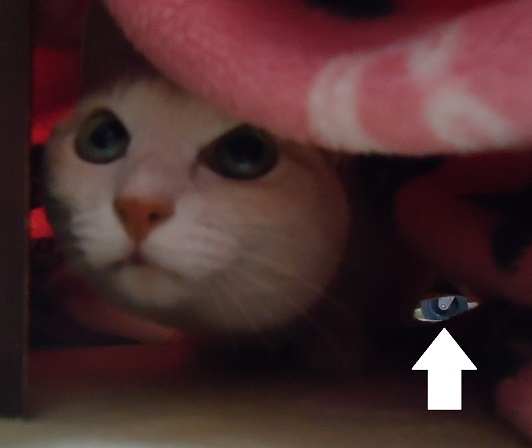 ほけ09