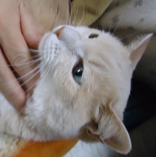 らり22