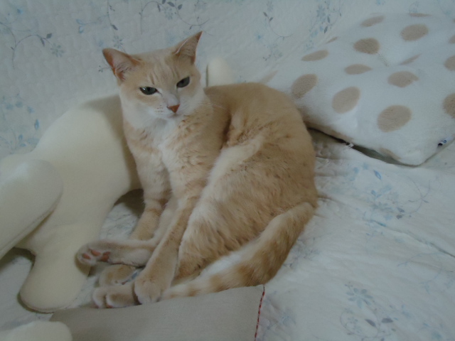 フリース1