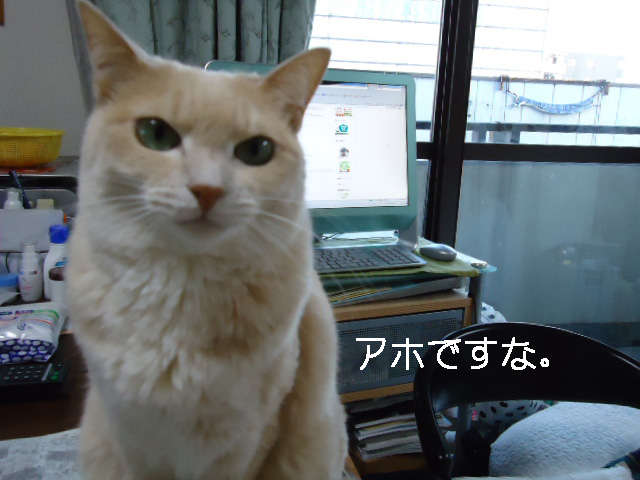 上野1