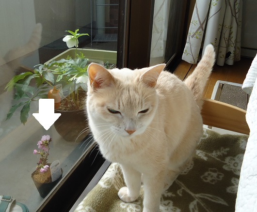触り02