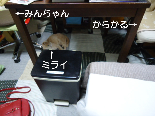 ジェラシー1