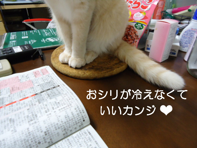 ナベ5