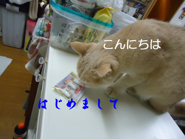 せんとくん3