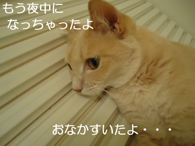 ホーム2