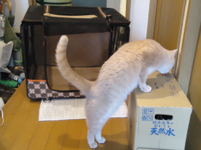 ハウス3