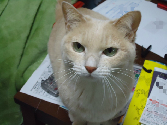 BlogPaint