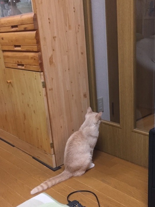 しら01