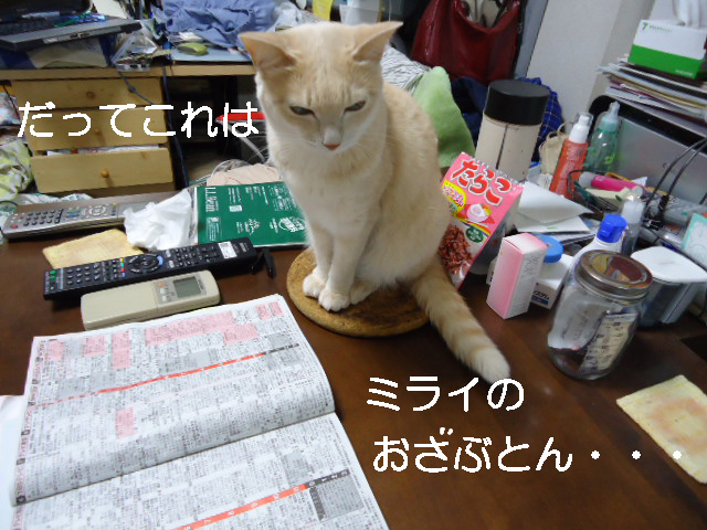 BlogPaint