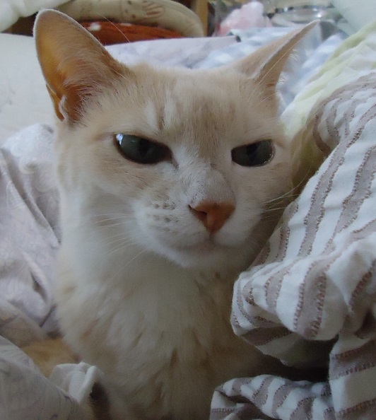 DSC08909