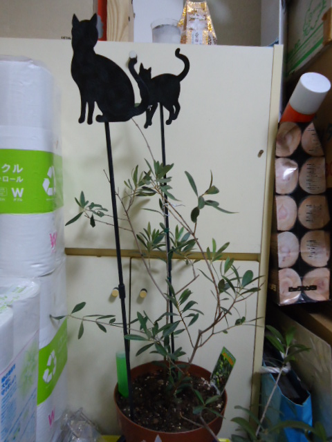 13ねこれ03