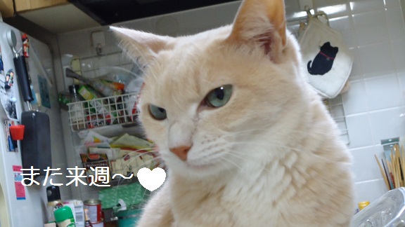 きょうがく16