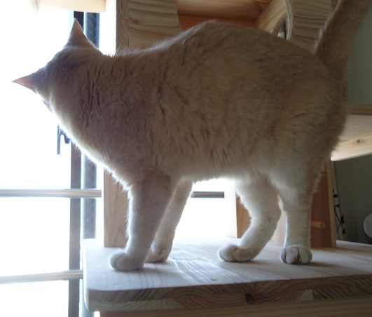 みつ18