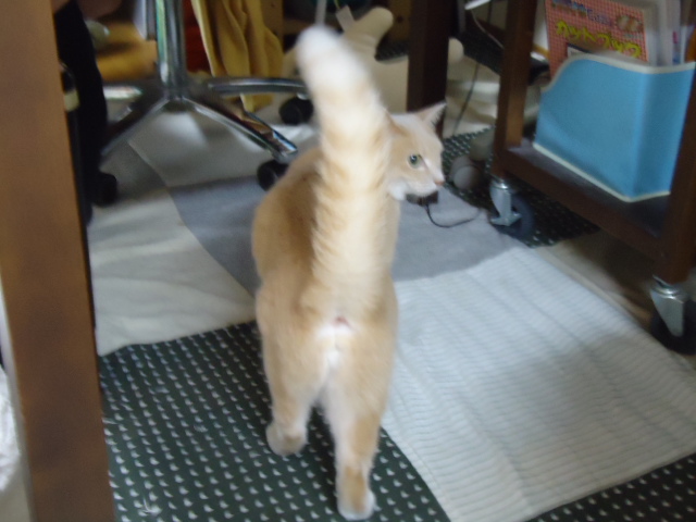 天然3
