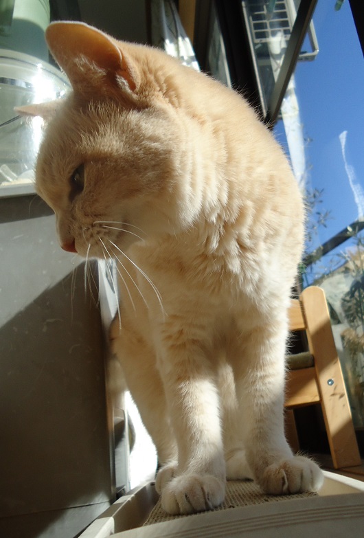しおた08