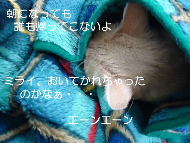 ホーム3
