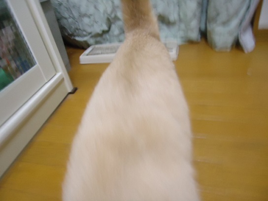 ねんど08