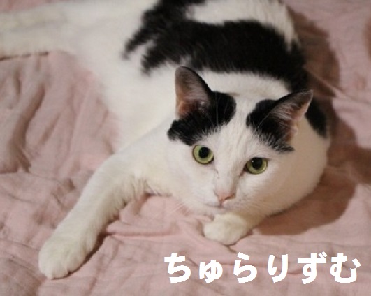 ろし03
