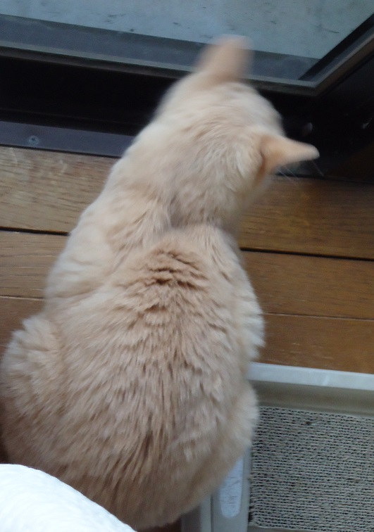 かんし04