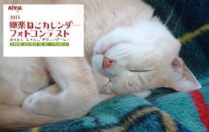えもの00