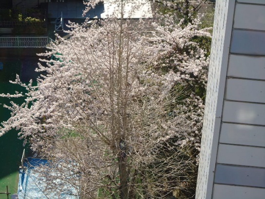 2012-04