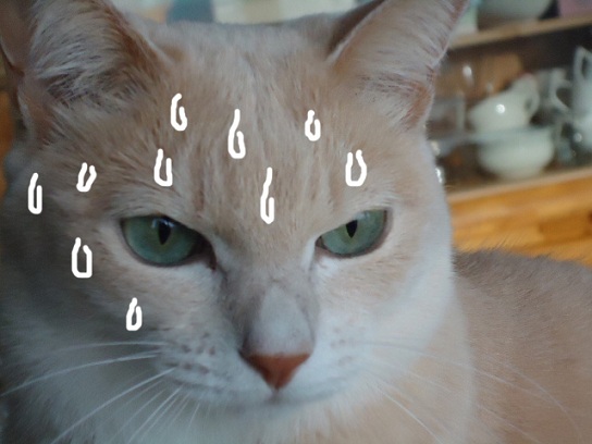 天パ5