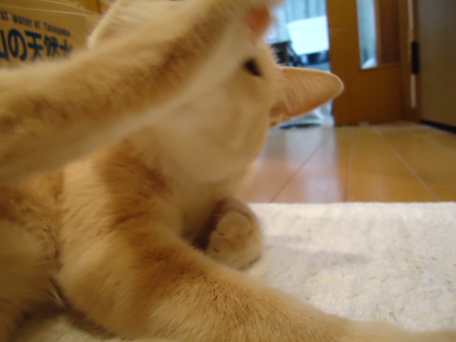 感謝6