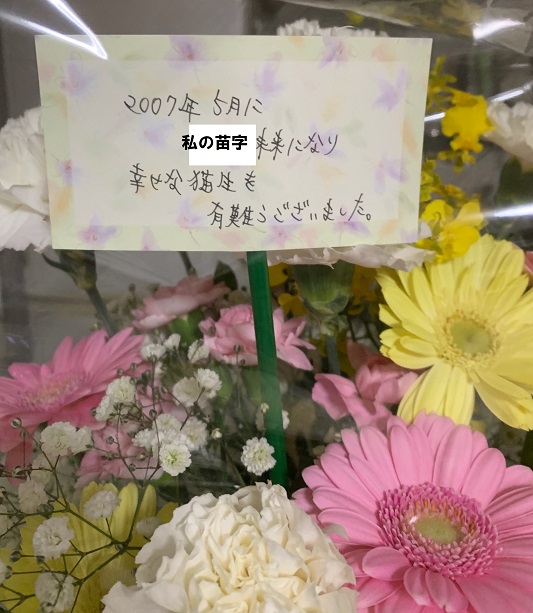 花04