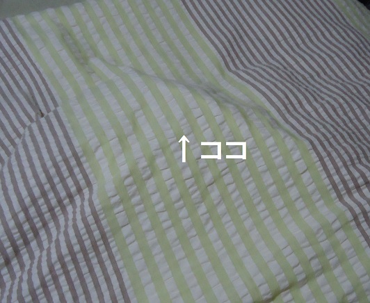 きせ01