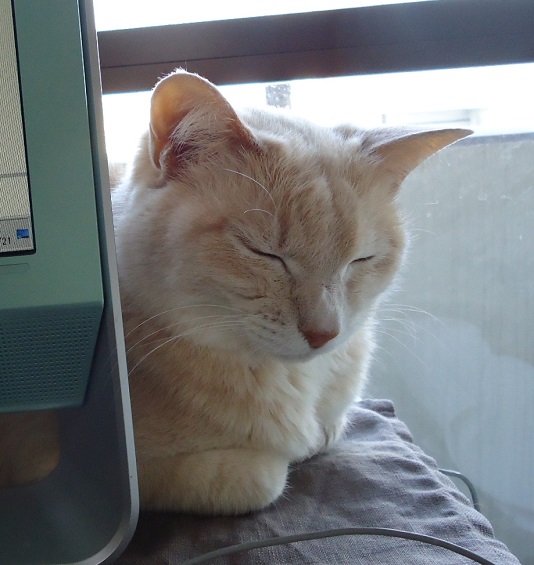 みか15
