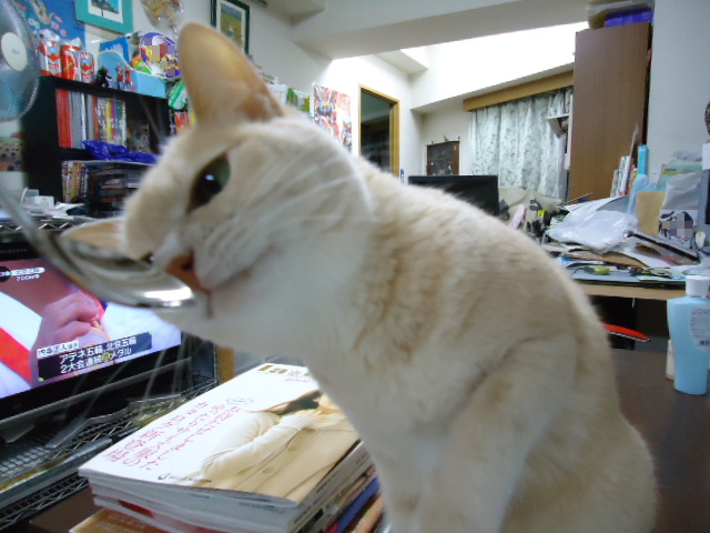 スプーン1