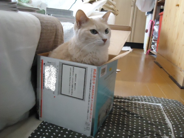 マスター7