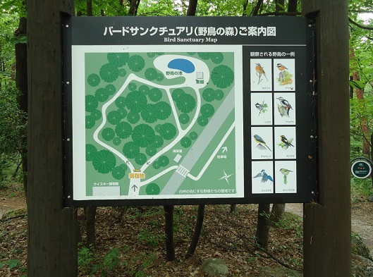 ほしの28