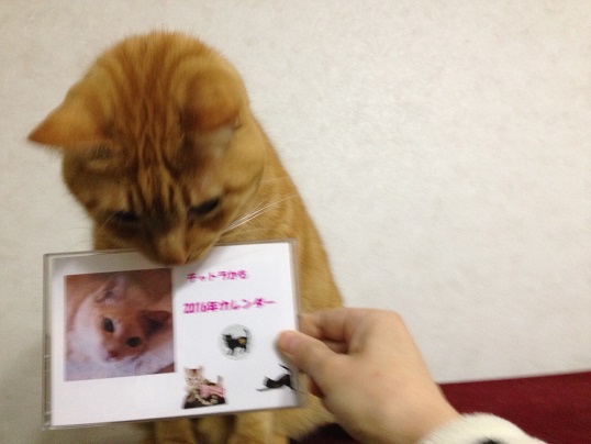 きぷ12