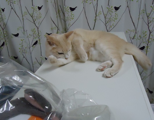 うんうん12