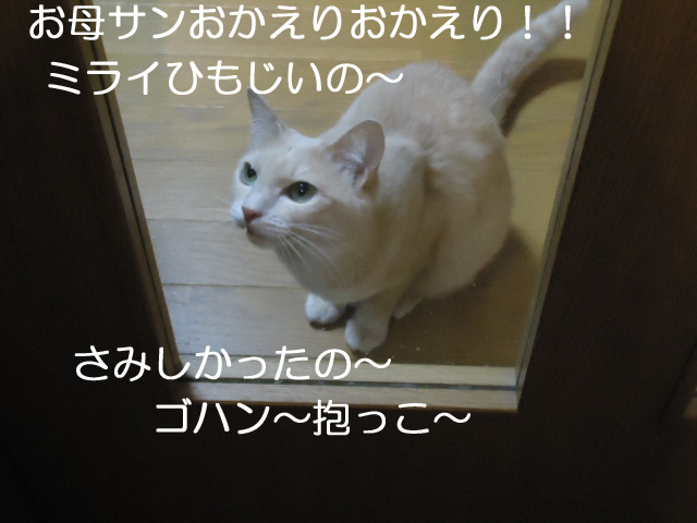 ホーム4
