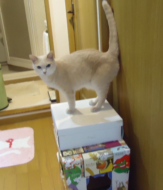 くる17