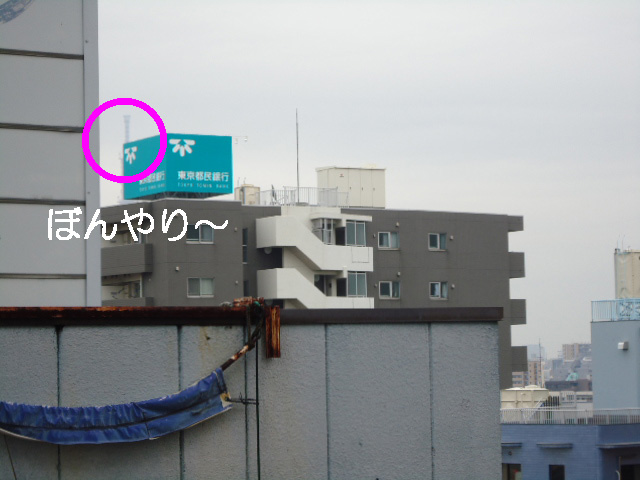 今日つれ3