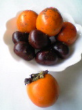 1b85414d.jpg