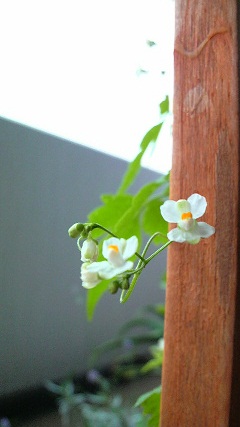 2010070207400000