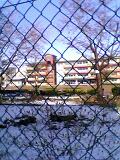 04-04-26_07-58.jpg