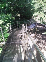 d4e91a9c.jpg