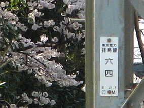 拝島線64号 soudentettou_hjm64_c