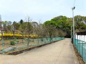 ΩÀî»Ô¡¢ÅìµþÅÔÇÀÎÓÁí¹ç¸¦µæ¥»¥ó¥¿¡¼ tachikawa_nousouken