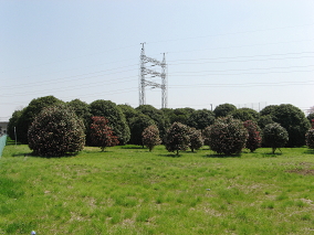 拝島線64号 soudentettou_hjm64