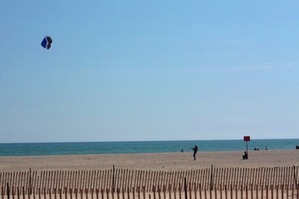 IMG_8853