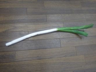 ねぎ